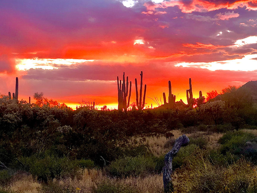 Tough Tops is coming to Arizona (and offering discount)