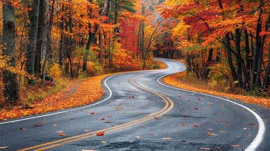 7 Epic Fall Foliage Drives